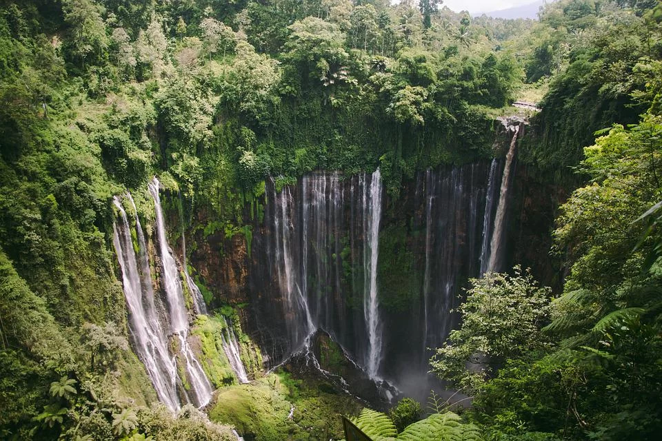 Les meilleurs parcs nationaux à visiter au cours d’un voyage en Indonésie