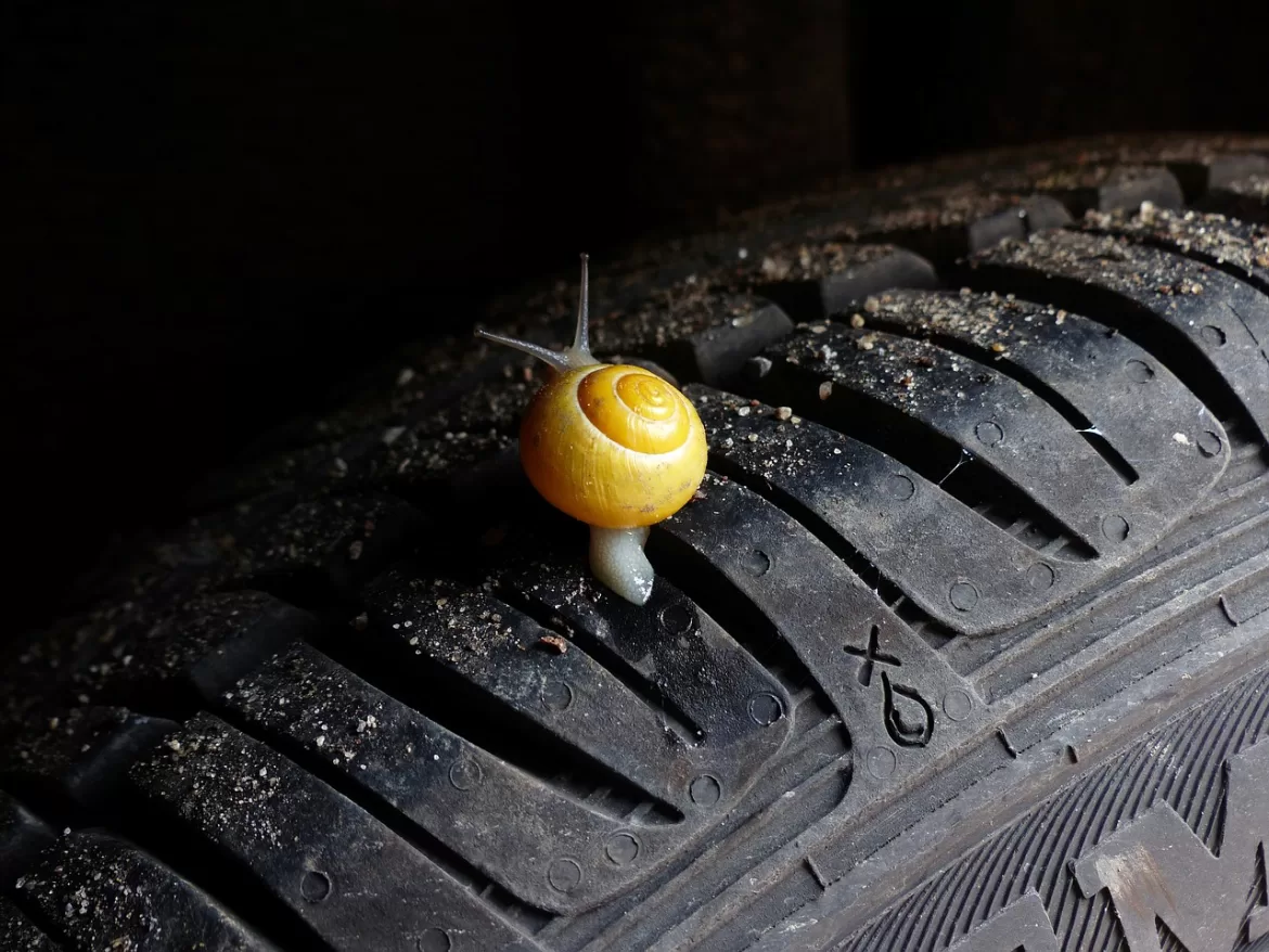 Ne roulez plus jamais à l’aveuglette : comment choisir ses pneus ?