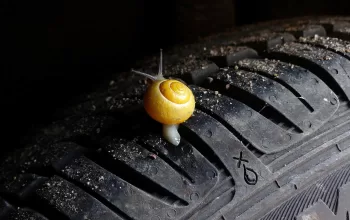 comment choisir ses pneus