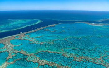 tresors-sous-marins-grande-barriere-corail-australie