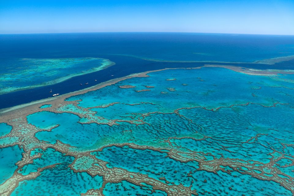 Les trésors sous-marins de la Grande Barrière de Corail, Australie