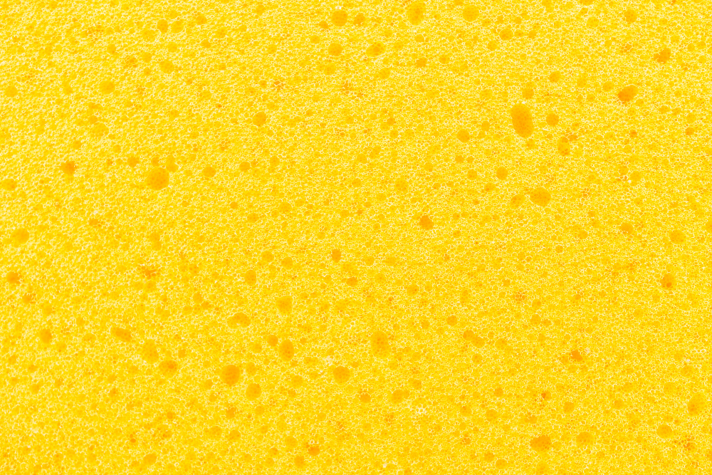Éponge konjac : bienfaits, utilisation et conseils pour une peau naturellement nettoyée